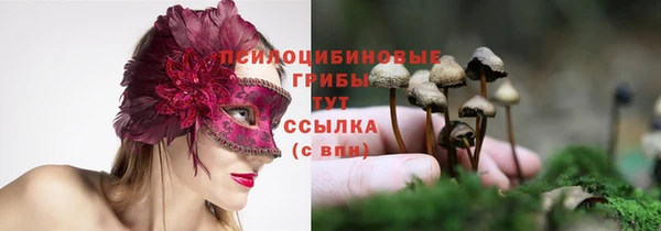 соль курить ск Надым