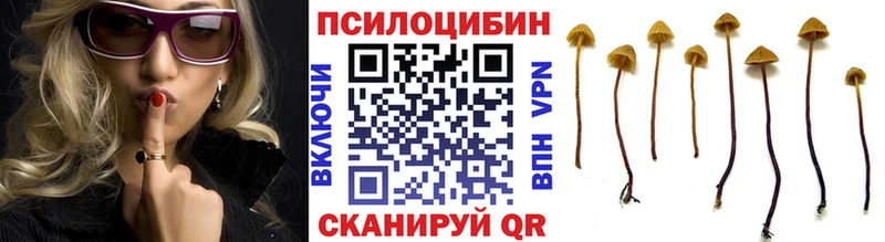 Галлюциногенные грибы Psilocybe  Челябинск 