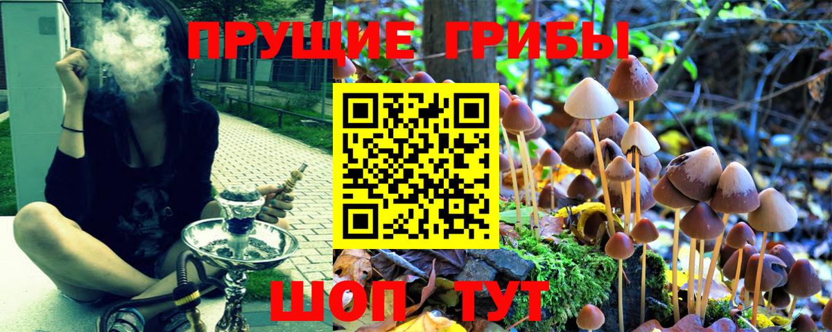 Псилоцибиновые грибы Cubensis  Вход с VPN  Челябинск 
