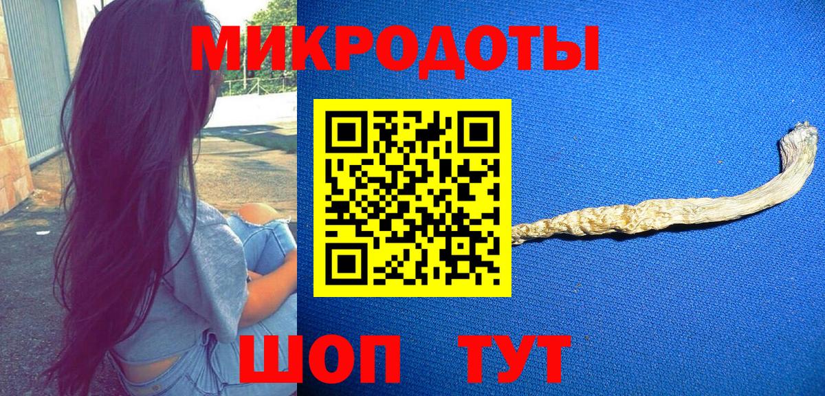 Псилоцибиновые грибы Psilocybine cubensis Челябинск